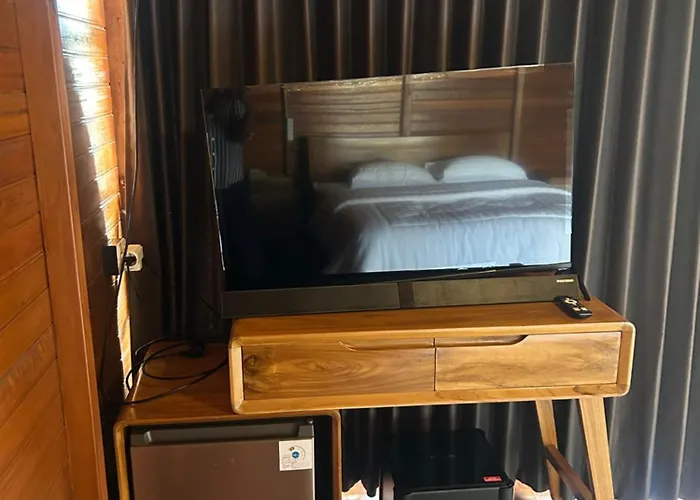 Orange Wooden Проживание в семье *