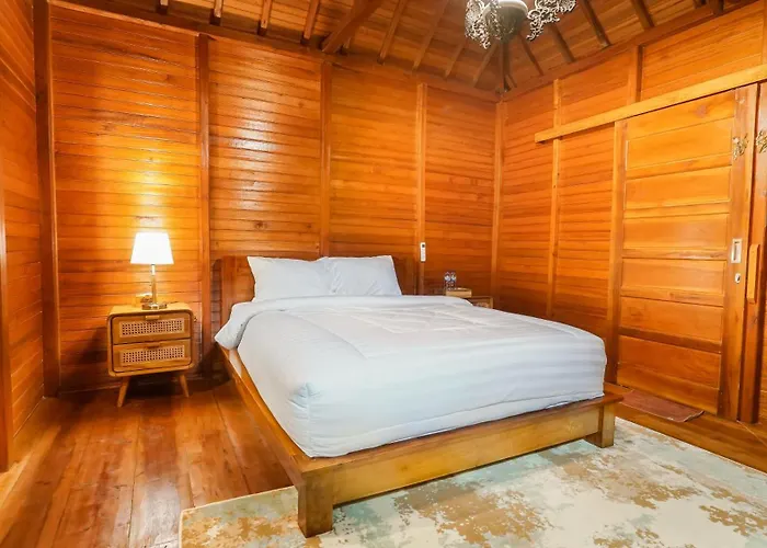 Orange Wooden
